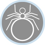 web crawler icon